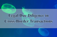 Legal Due Diligence in Cross-Border Transactions: Risks and Solutions | LTS LAW