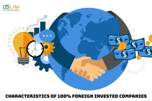 Characteristics of 100% foreign-invested companies
